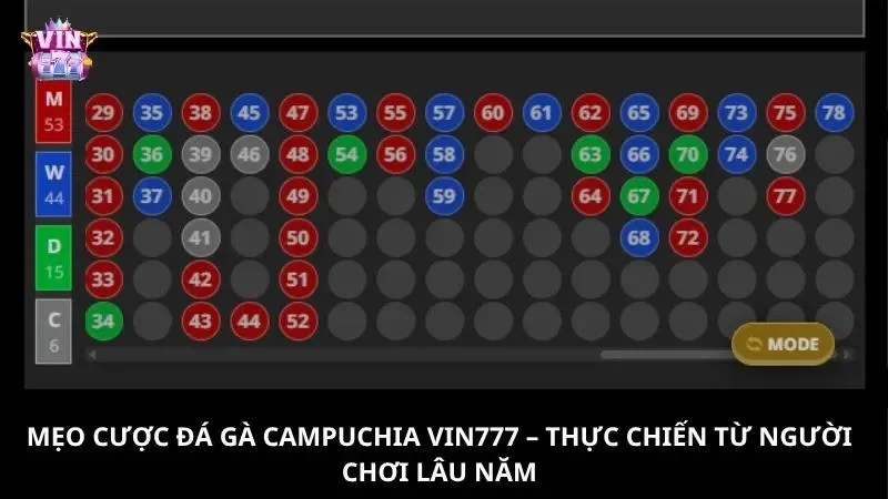 Mẹo đặt cược đá gà Campuchia từ chuyên gia với kinh nghiệm lâu năm trong ngành