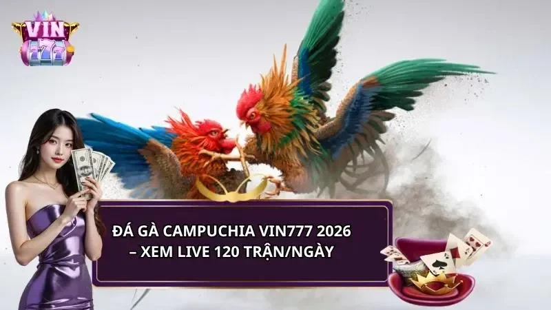 Đá gà campuchia Vin777