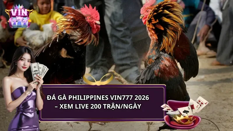 Đá gà Philippines Vin777